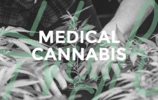 Medical Cannabis High Tops Blog V1