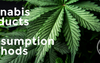 Cannabis Products and Consumption Methods | High Tops Blog