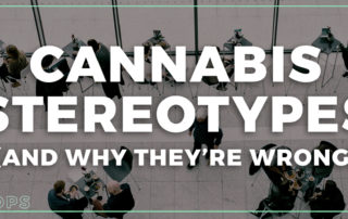 Cannabis Stereotypes and Why they're Wrong