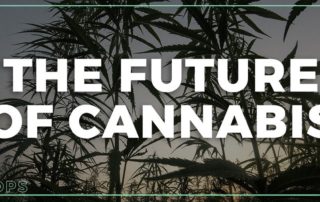 The Future of Cannabis - High Tops Knowledge Base