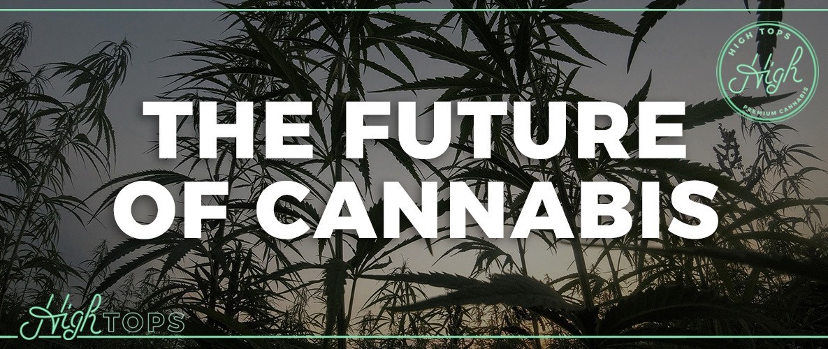 The Future of Cannabis - High Tops Knowledge Base