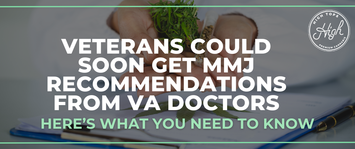 Veterans Could Soon Get Medical Marijuana Recommendations from VA Doctors