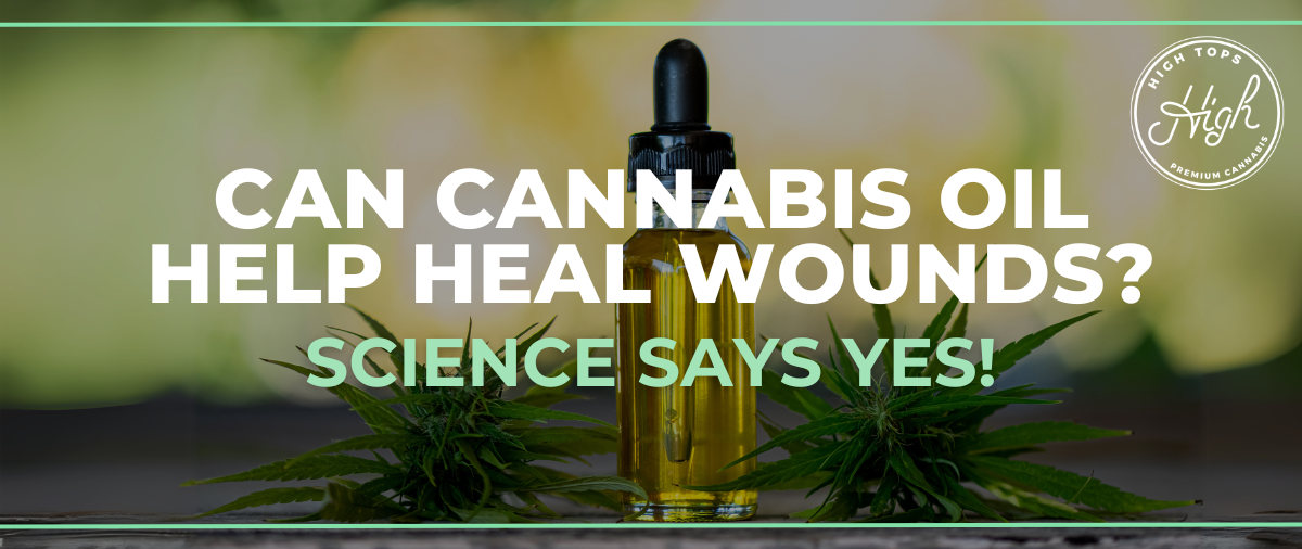 Can Cannabis Oil Help Heal Wounds? Science Says Yes!