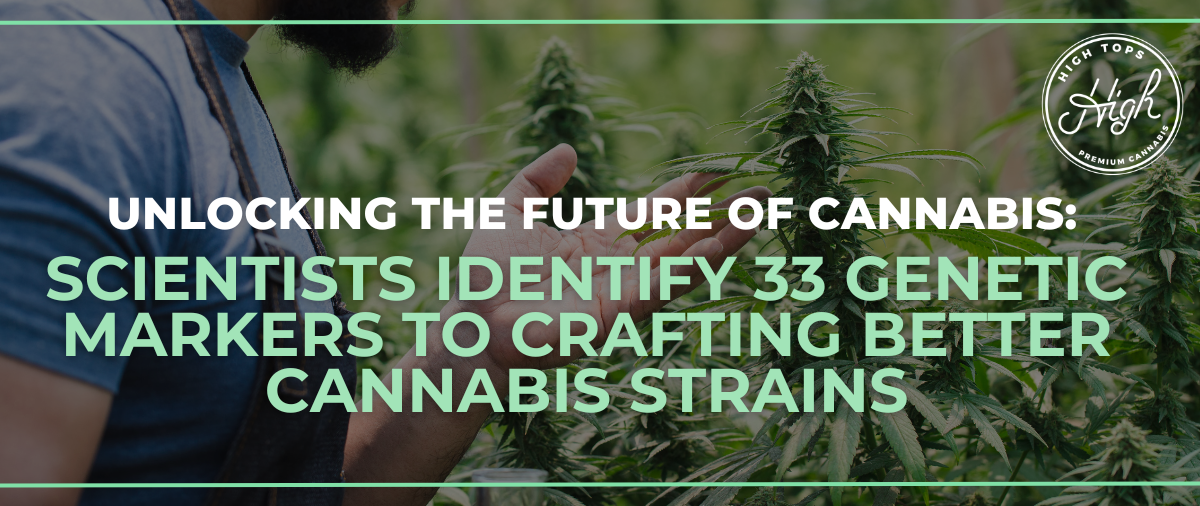 Unlocking the Future of Cannabis: Scientists Identify 33 Genetic Markers to Crafting Better Cannabis Strains