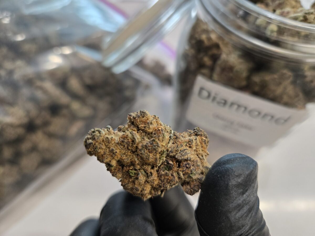 Diamond Tier Cannabis – Highops Colorado Springs Decoding the Dispensary Shelves: From Top Shelf to Popcorn in Colorado Springs