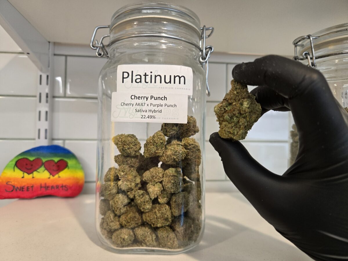 Platinum tier flower – hightops colorado springs Decoding the Dispensary Shelves: From Top Shelf to Popcorn in Colorado Springs